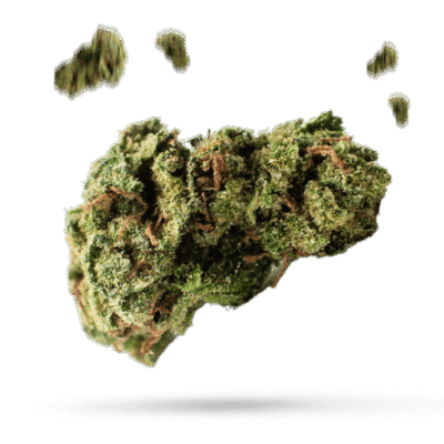 Dolato - Cannabissorte