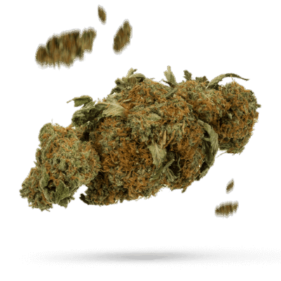 Forbidden Fruit - Cannabissorte