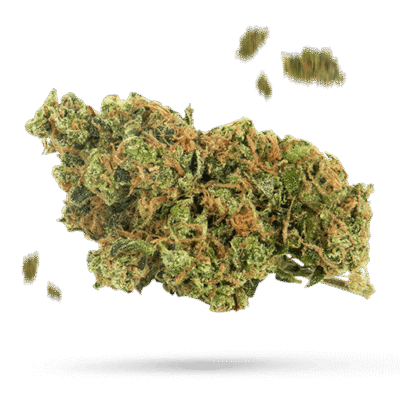 Georgia Pie - Cannabissorte