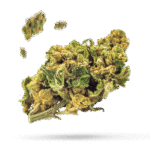 Ghost Train Haze - Cannabissorte