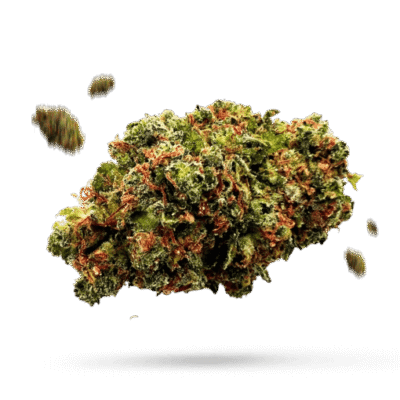 Jet Fuel Gelato - Cannabissorte