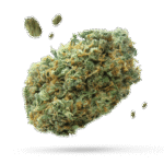 LA Kush - Cannabissorte