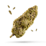 LA Kush Cake - Cannabissorte