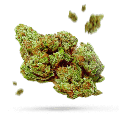 Lemon Cherry Gelato - Cannabissorte