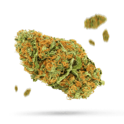 Maui Wowie - Cannabissorte