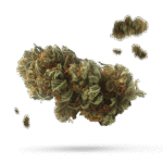 Pink Runtz - Cannabissorte