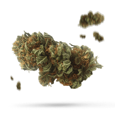 Pink Runtz - Cannabissorte