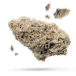 Sherbet Cake - Cannabissorte