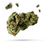 Snow Ryder - Cannabissorte