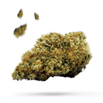 Strawberry Banana - Cannabissorte