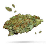 Strawberry Cough - Cannabissorte