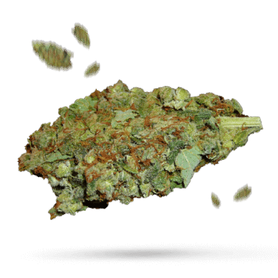 Strawberry Cough - Cannabissorte