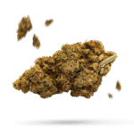 Super Skunk - Cannabissorte