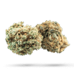 Trainwreck - Cannabissorte