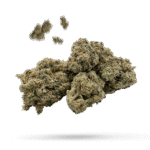 Tropicana Banana - Cannabissorte