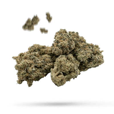 Tropicana Banana - Cannabissorte