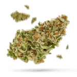 Tropicana Cookies - Cannabissorte