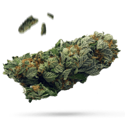 White Runtz - Cannabissorte