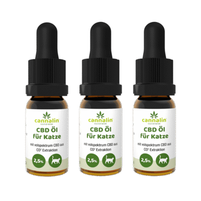 CBD Öl für Katzen 2