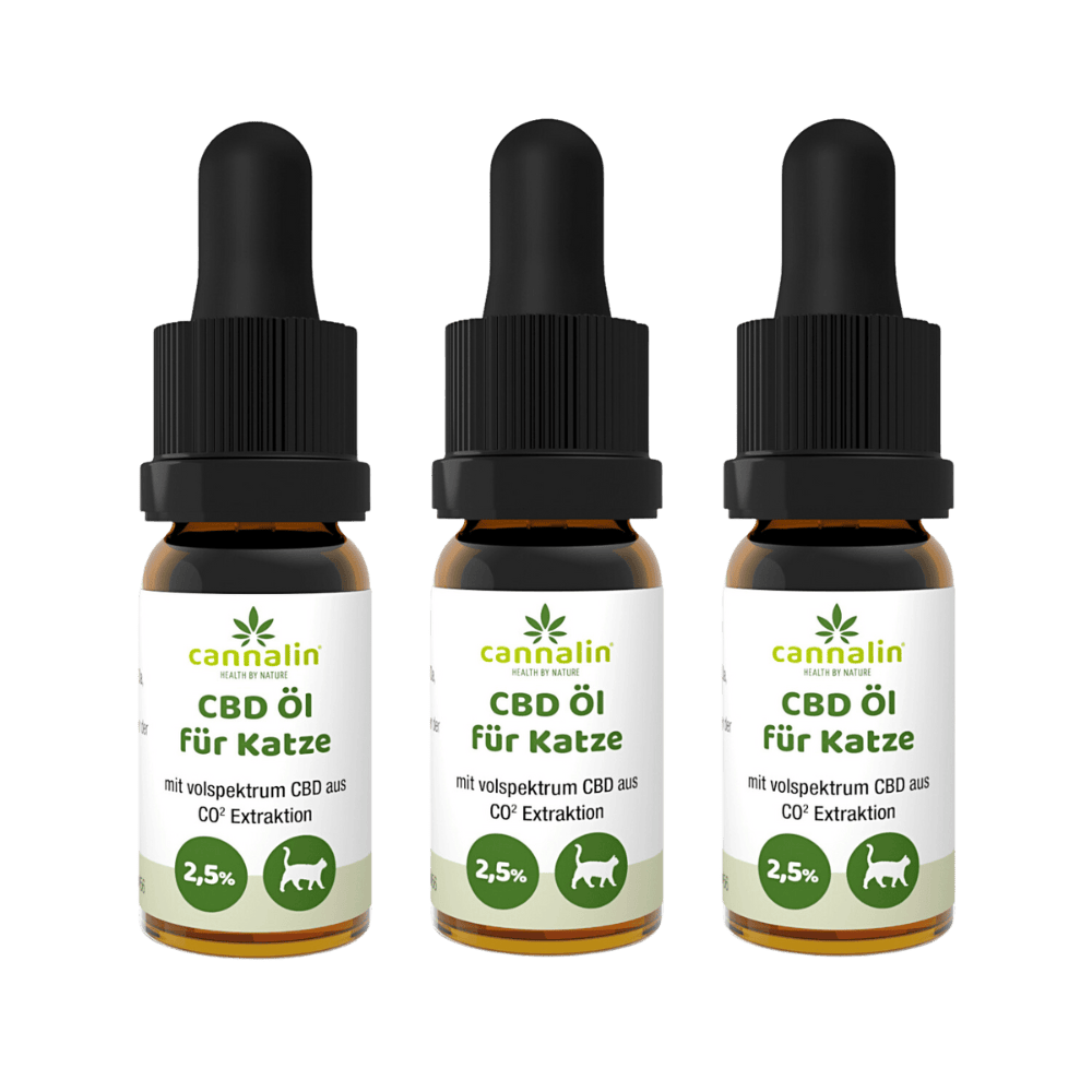 CBD Öl für Katzen 2
