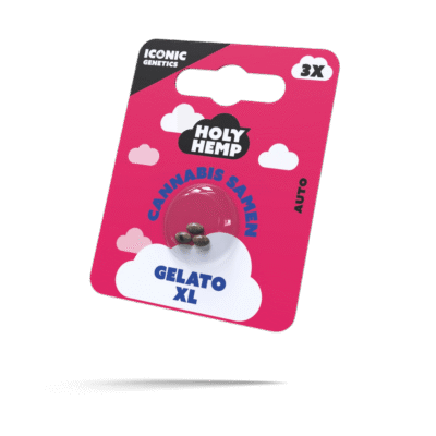 Gelato XL Samen - Autoflower - HappyBuds
