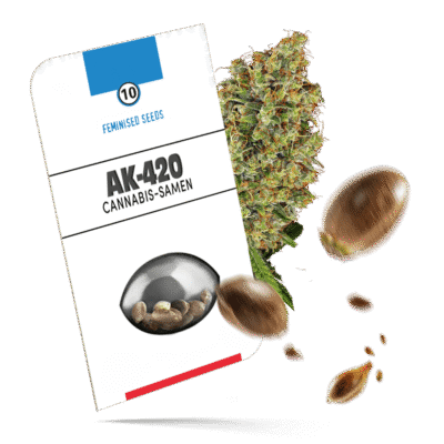 AK-420 Samen - Feminisiert - Sensi Seeds