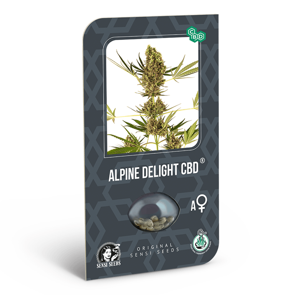 Alpine Delight CBD Samen - Autoflower - Sensi Seeds