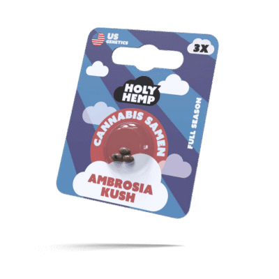 Ambrosia Kush Samen - Feminisiert - HappyBuds
