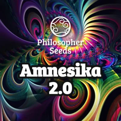 Amnesika 2.0 - Alchimia