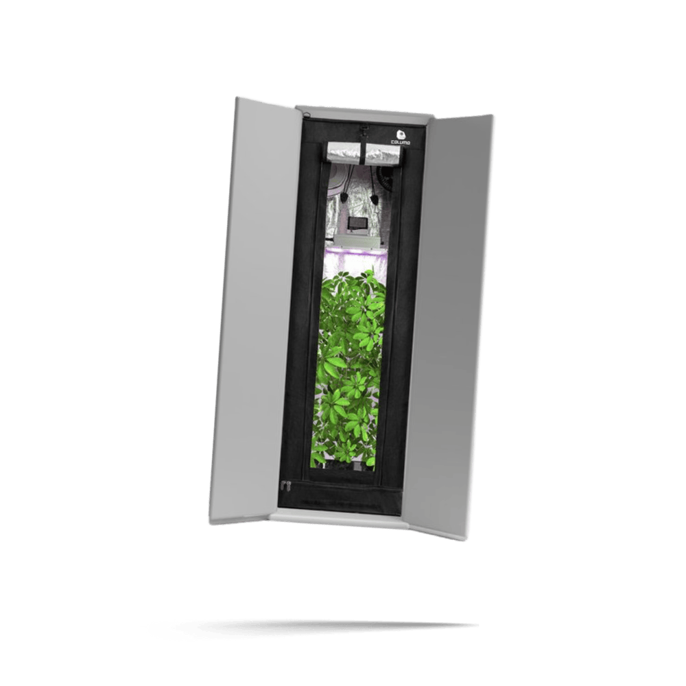 Caluma Readymade Komplettset für Growschrank - Hanfgarten