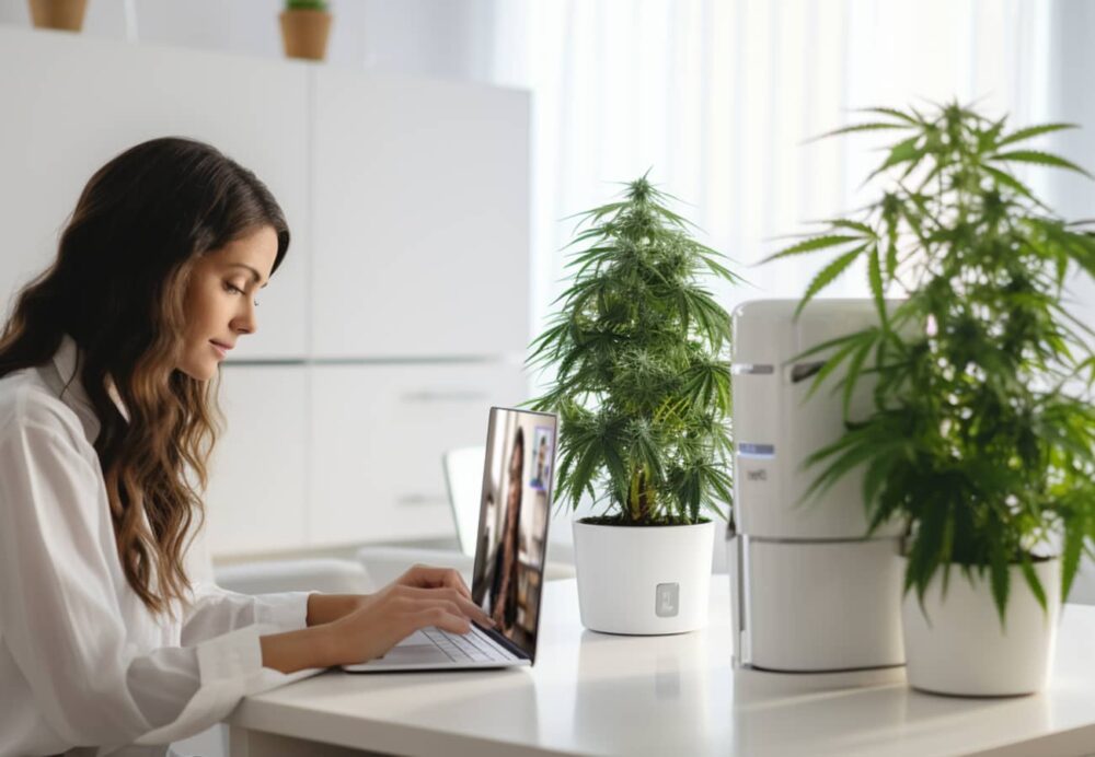 Cannabis Telemedizin Anbieter Vergleich