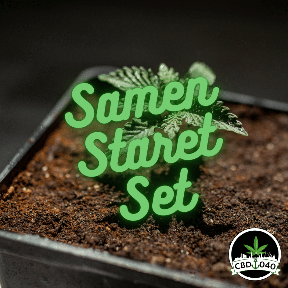Cannabis Samen Starter Set - CBD040