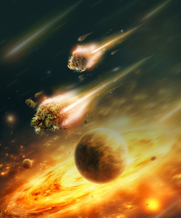 Entdecke das CBD-DEAL24 Universum: Deine Informationsquelle in der Cannabis-Welt