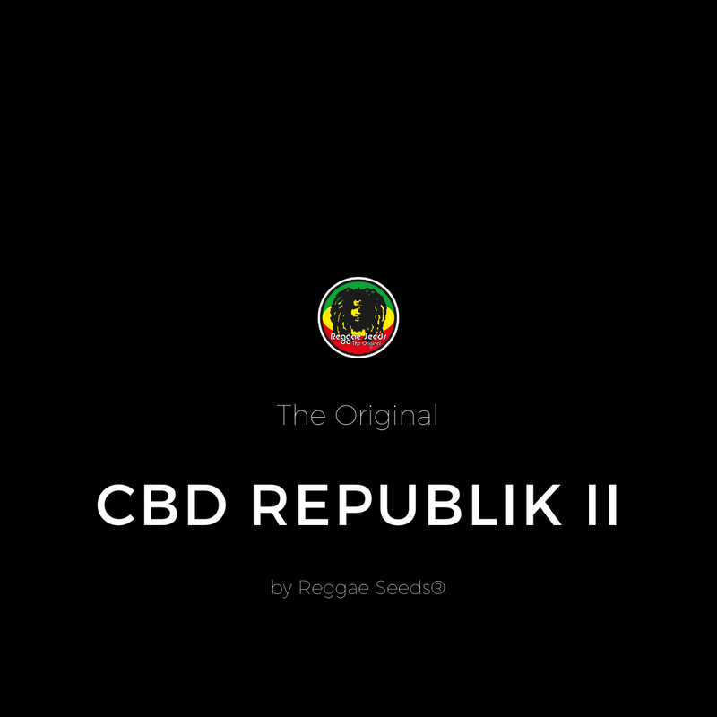CBD Republik II - Alchimia