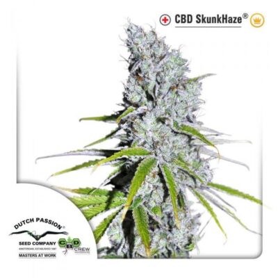 CBD SkunkHaze - Alchimia