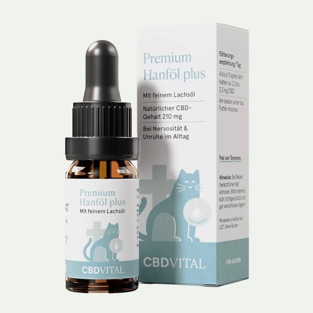 CBD Öl für Katzen 2