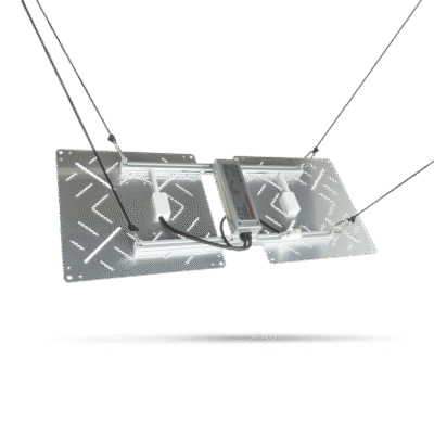 Crescience Bloomstar Wingman 600 - Grow Guru