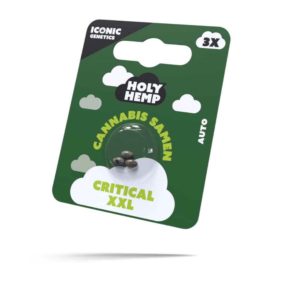 Critical XXL Samen - Autoflower - HappyBuds