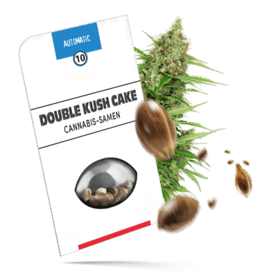 Double Kush Cake Samen - Autoflower - Sensi Seeds