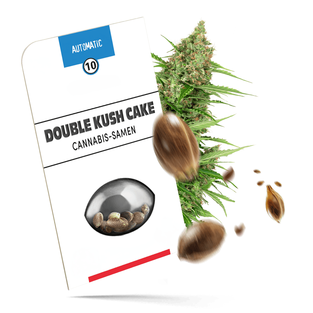 Double Kush Cake Samen - Autoflower - Sensi Seeds