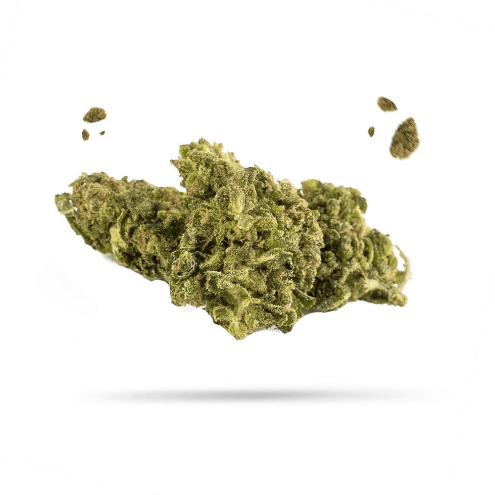 GMO Cookies Cali CBD Blüten - East Smoke