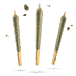 10HC Prerolls Super Silver Haze - Flower Power