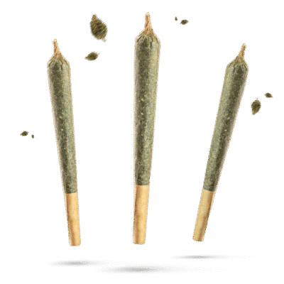 10HC Prerolls Super Silver Haze - Flower Power