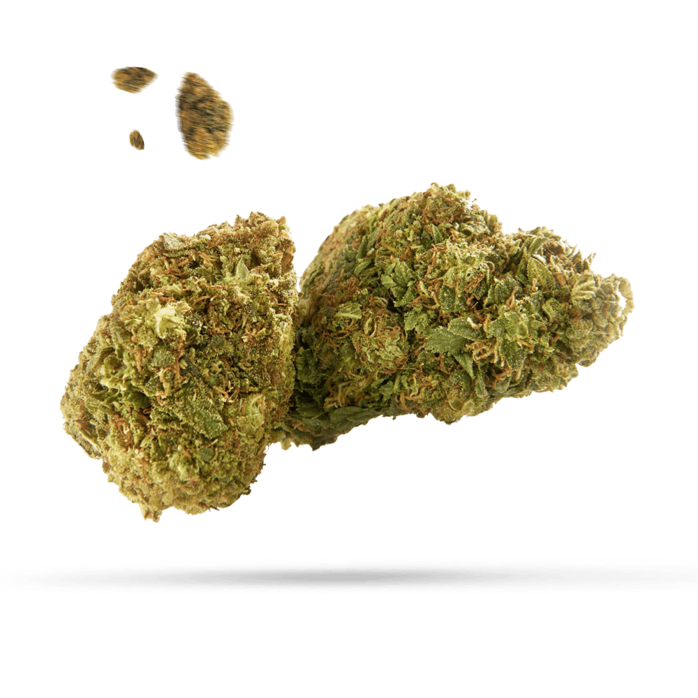 Wedding Cake 10-OH-HHC - Flower Power