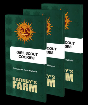 Girl Scout Cookies – Barney’s Farm – Alchimia