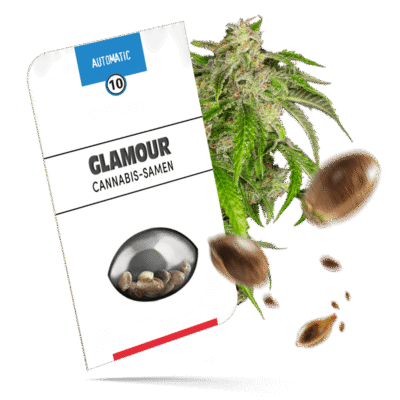 Glamour Samen - Autoflower - Sensi Seeds