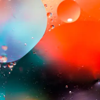 GMO Zkittlez F1 8 Samen - Alchimia