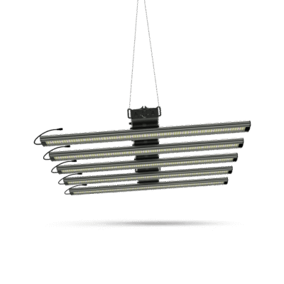 Greenception GCx 25 LED 750W - Grow Guru