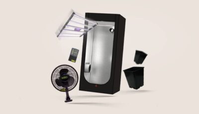 Growbox Komplettset - Produktkategorie