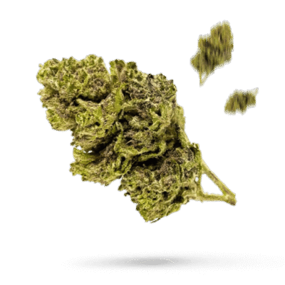 Happy Runtz Superior Blüten - Happy420